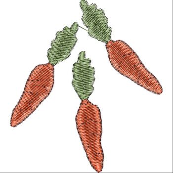 CARROT EMBROİDERY