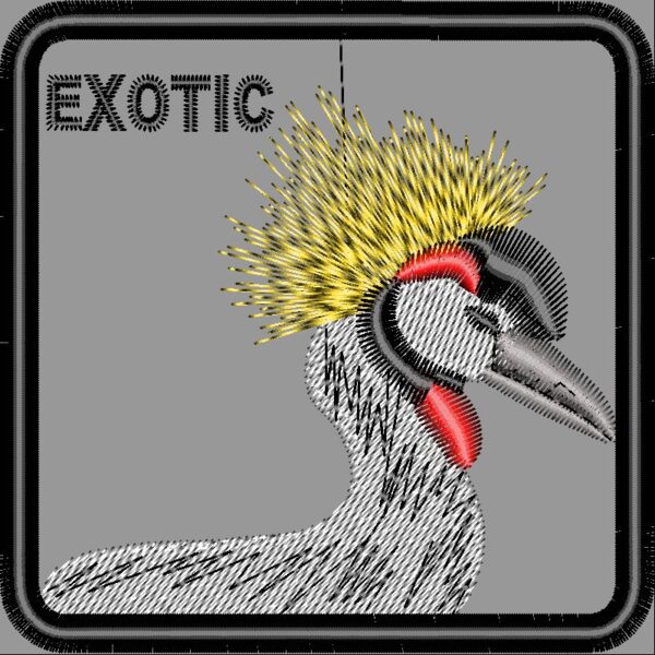 EXOTİC