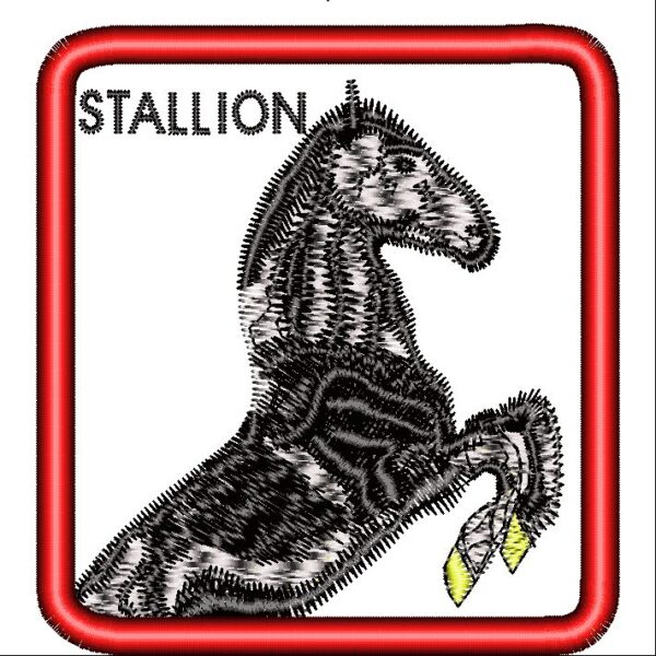 STALLION