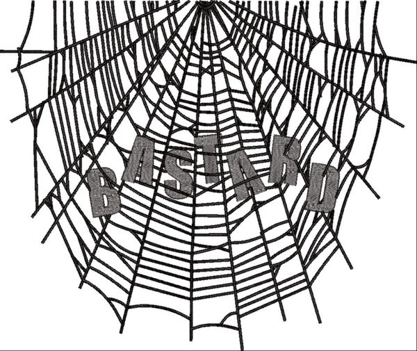 SPIDER WEB