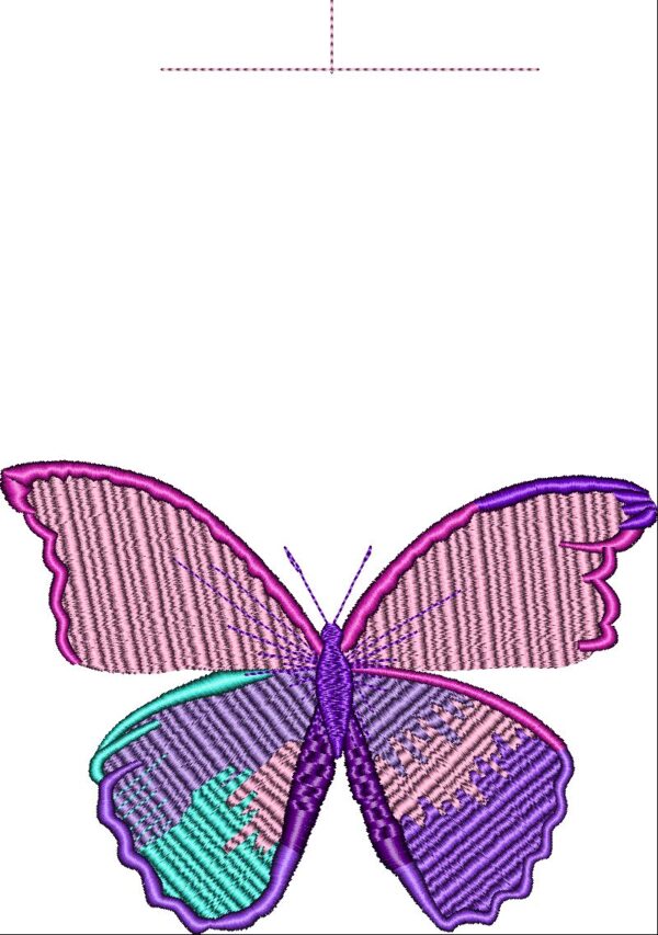 BUTTERFLY